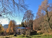 Monte Zucco (1232 m) ad anello in solitaria sui sentieri di casa (Zogno-300 m) 18nov闂????20 - FOTOGALLERY